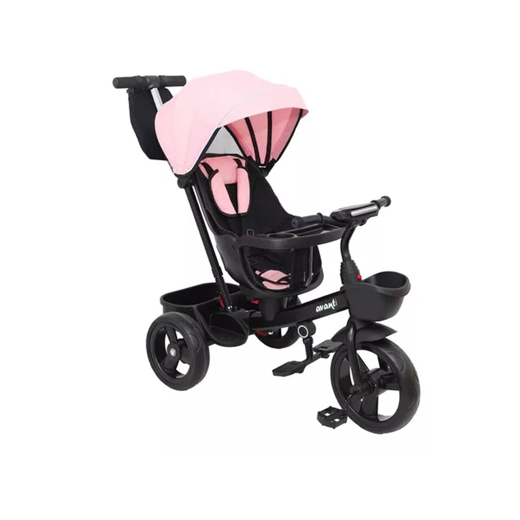 Triciclo Evolutivo con Capota 