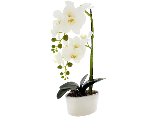 Orquidea Artificial Blanca en Maceta Ovalada